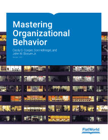 Mastering Organizational Behavior