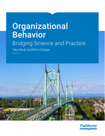 Organizational Behavior: Bridging Science and Practice