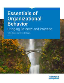 Cover of Essentials of Organizational Behavior: Bridging Science and Practice v3.0